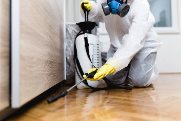Best Pest Prevention Services  in Coker, AL