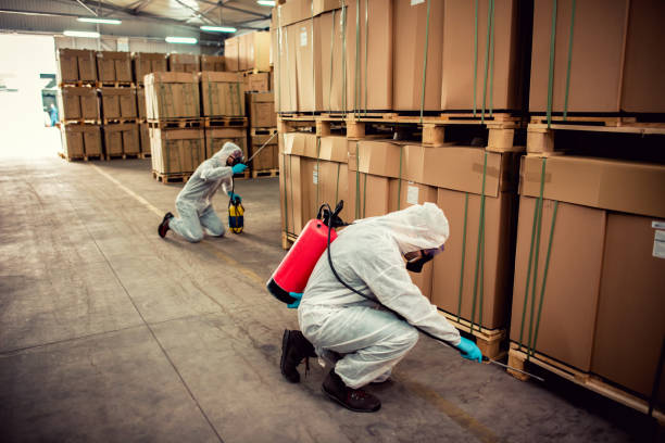 Best Pest Removal Services  in Coker, AL