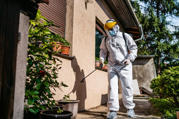 Best Bed Bug Extermination  in Coker, AL