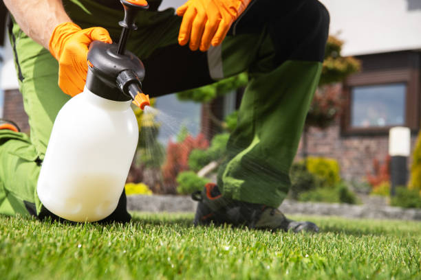 Best Local Pest Control Services  in Coker, AL