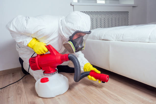 Trusted Coker, AL Pest Control Experts