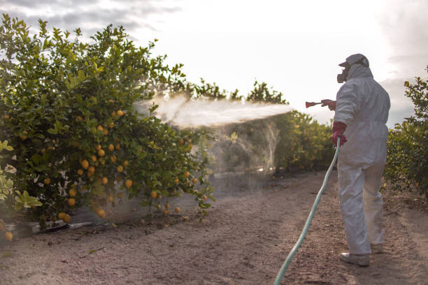 Best Best Pest Control Companies  in Coker, AL