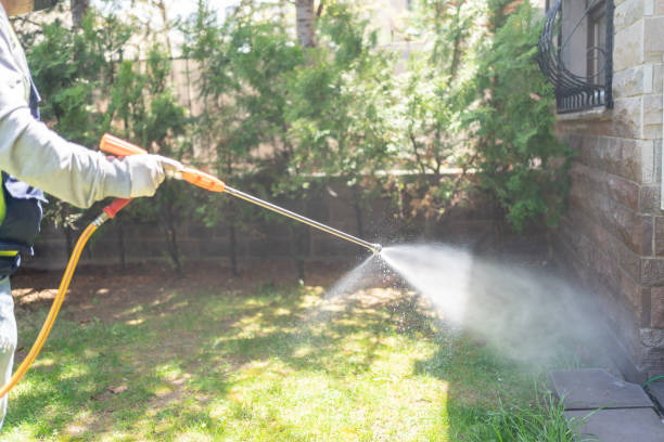 Best Pest Removal Services  in Coker, AL