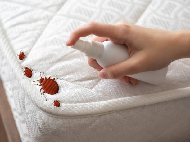 Best Residential Pest Control  in Coker, AL