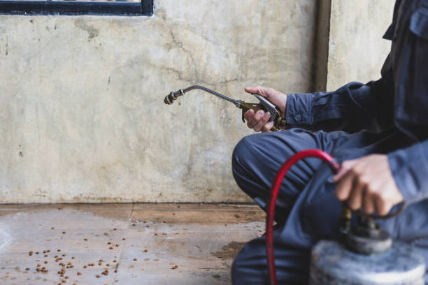Best Pest Control Cost  in Coker, AL
